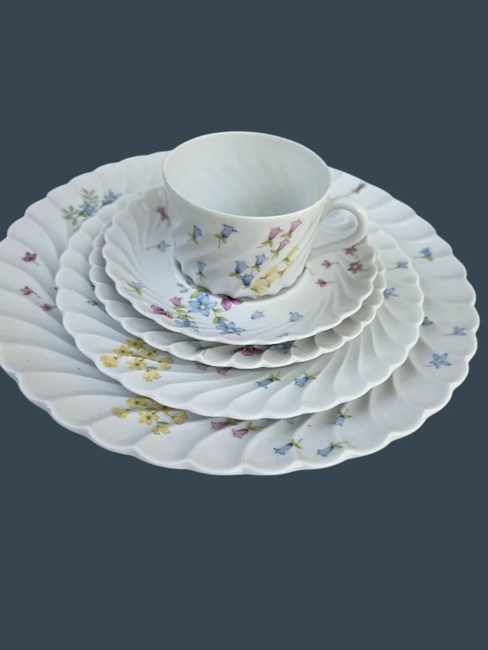 Haviland Prairie 5-Piece Place Setting Floral Swirl Porcelain Dinnerware Limoges